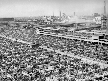 Stock Yard