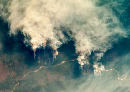 Forest Fire in Brazil